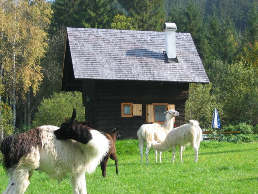 Huette Zum Verlieben Gurk Exterior photo
