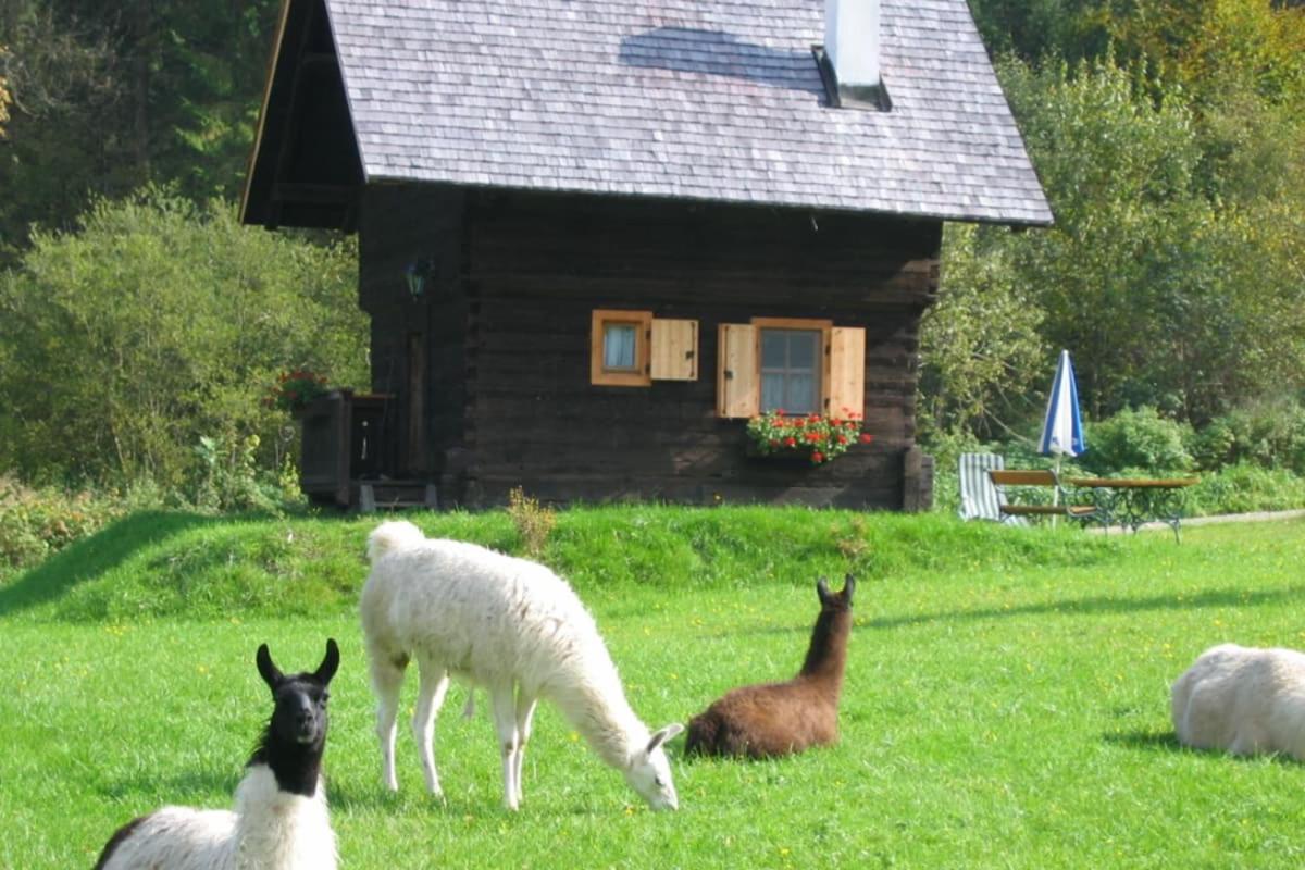 Huette Zum Verlieben Gurk Exterior photo